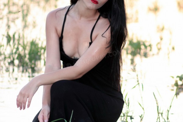 茶香弥漫武汉城，礼品茶叶好选择